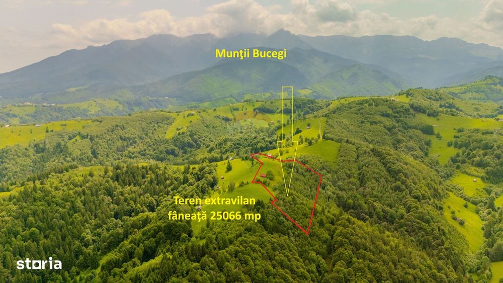 Teren extravilan, 25066 mp, Moieciu