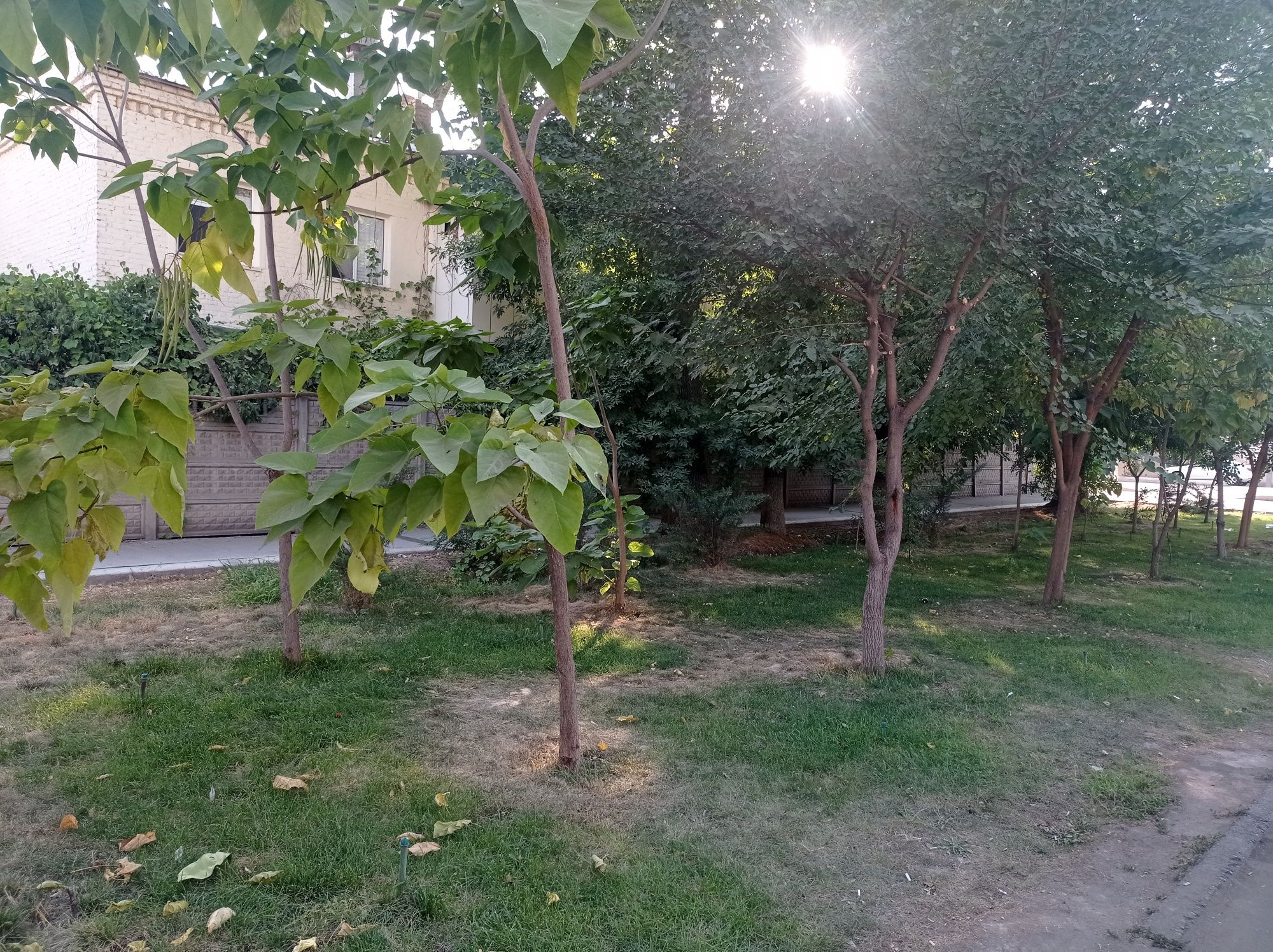 Срочно.Парк фуркат.Продаётся своя 3 х комнатная квартира на 1 этаже,в
