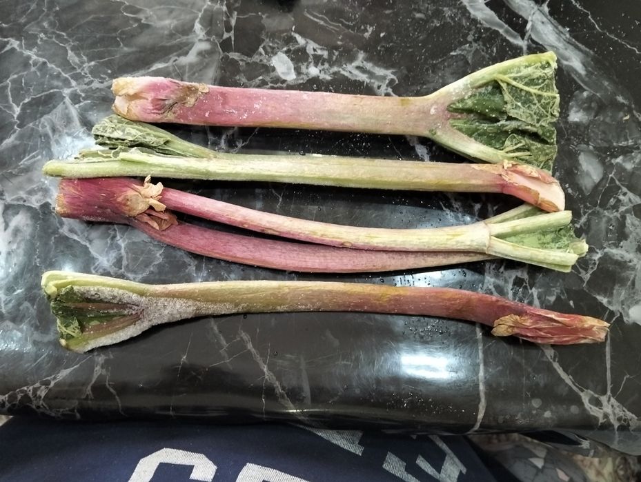 Довча ва куксултон ва равоч