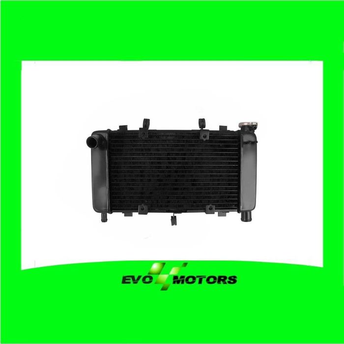 Radiator Racire Yamaha FZ6 Fazer 2004 2005 2006 FZ6N Apa Moto 149288