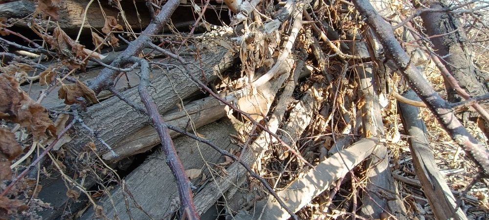 Продается дрова разное