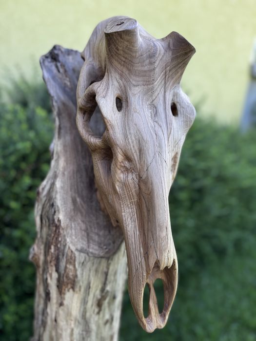 Дървен череп на благороден елен,дърворезба,трофей,лов,Blaser,Chevalier