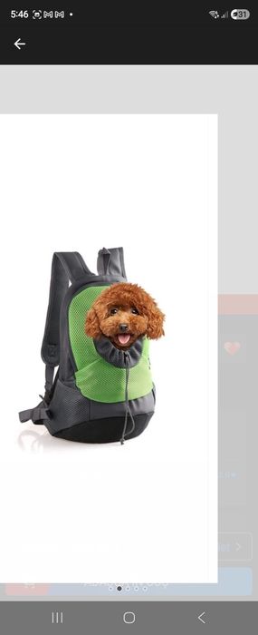 Ghiozdan pentru animale de companie