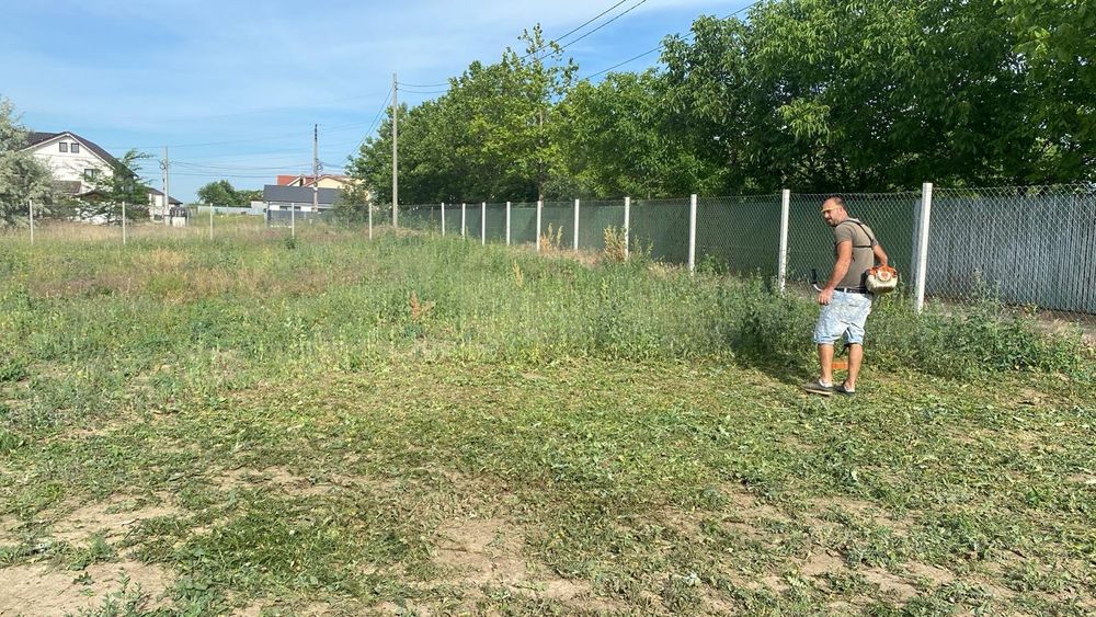 Taiere Arbori/Curățare Grădini La cel Mai bun Preț.