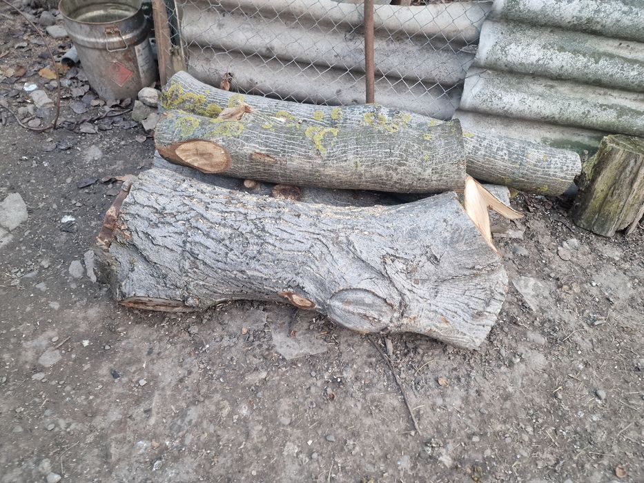 Lemn nuc mai multe bucăti