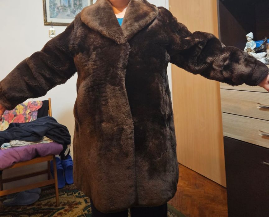 Blana Molton (de oaie)