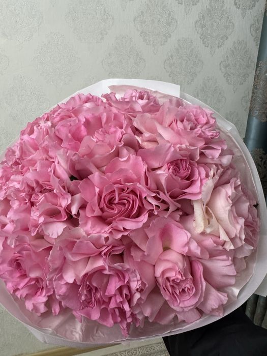 Цветы махровые розы