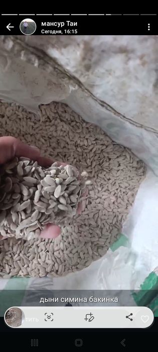 Семена дыни бакинка