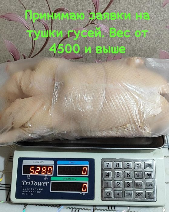 Продам тушки гусей.