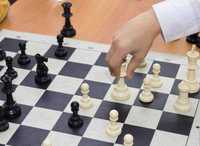 обучаю шахматам для начинающих