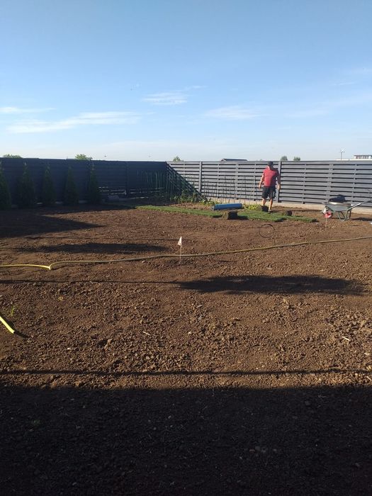 Plante ornamentale gazon sistem de irigat-gazon