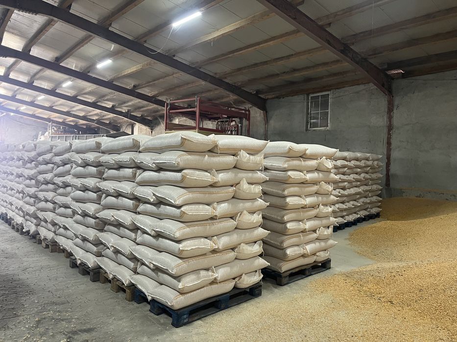 Porumb grau sacuit egalizat paletizat