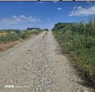 Teren Balteni, cota parte 1/4, ID: R2695268