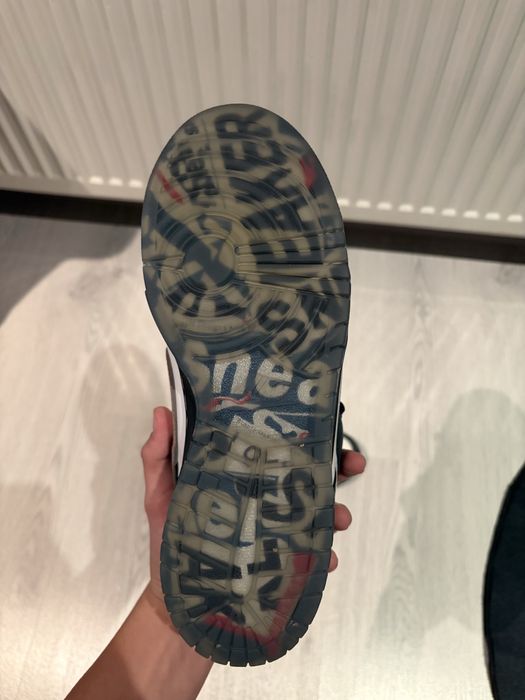 Nike SB "Pigeon Dunk" Low