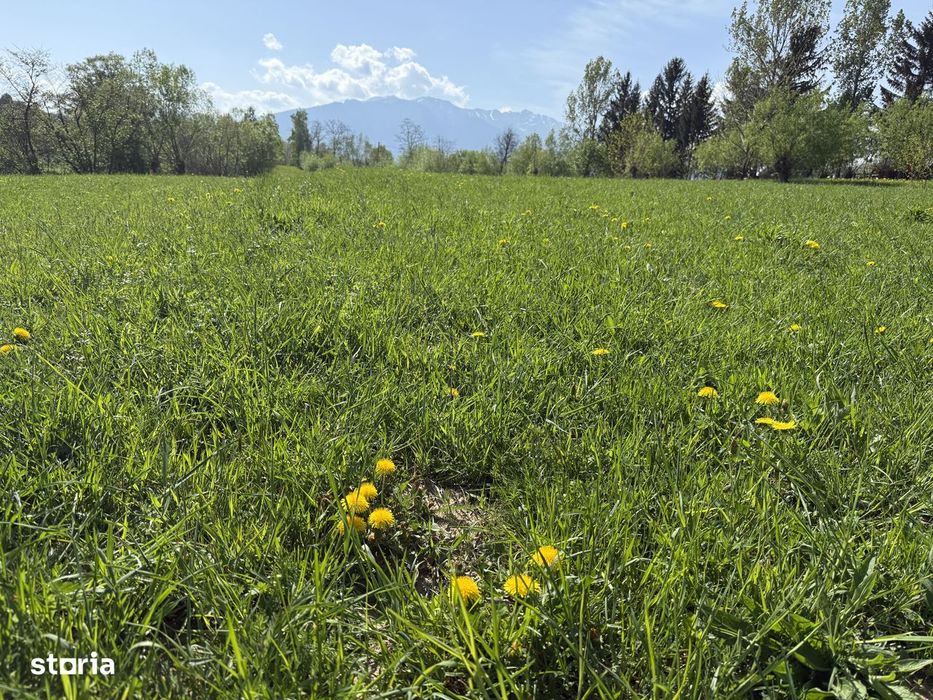Teren la munte zona asemanatoare cu Sinaia, Busteni, Azuga si Predeal
