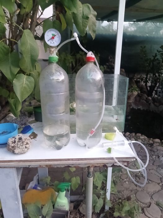 Sistem diy CO2 acvariu oferta!