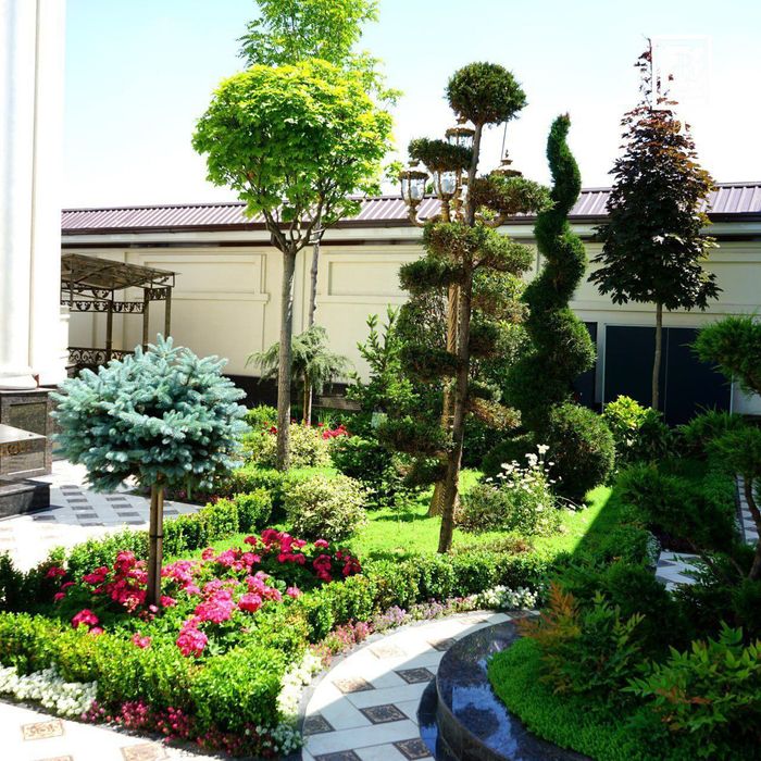 Газон ландшафний дизайн