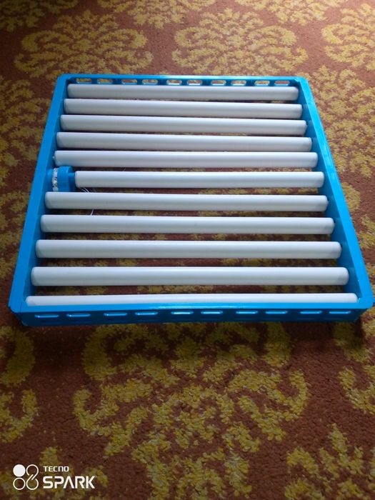 Inkubator uchun lotok 70 talik