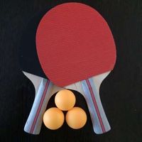Набор для настольного тенниса Leikesi с сеткой