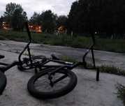 bmx king gap xl 2022