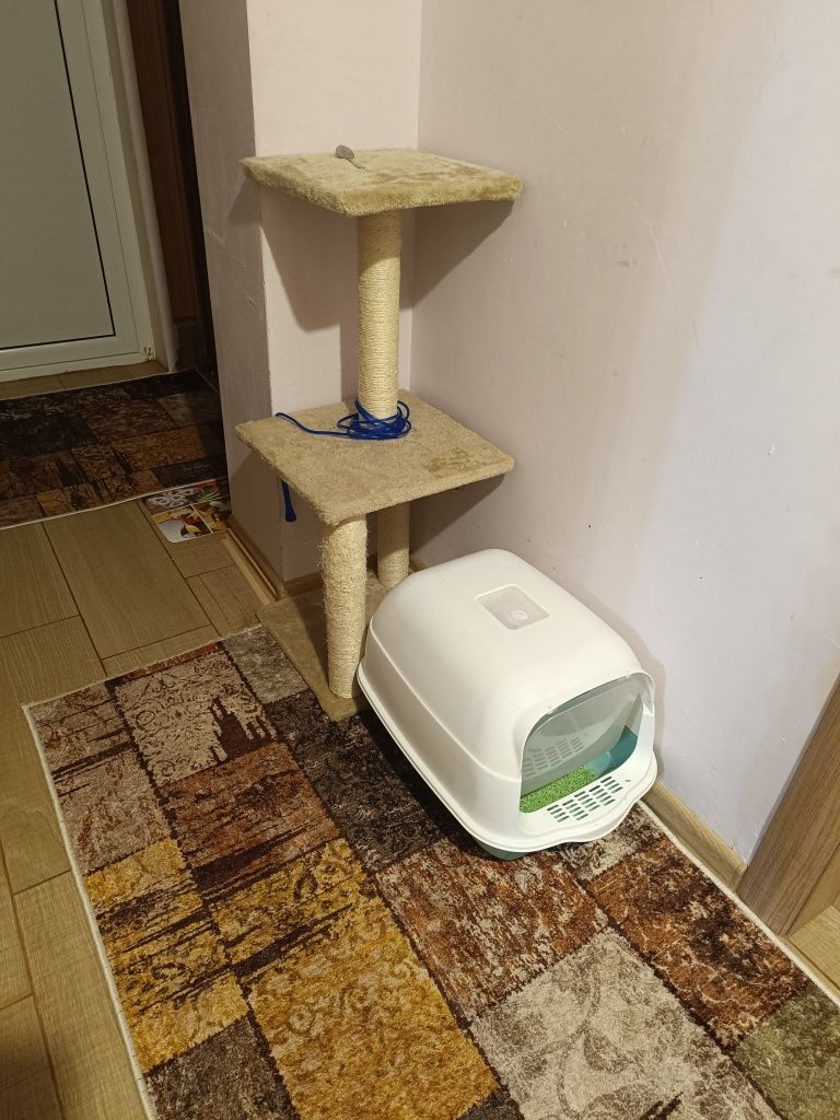 Драскалка за котки и тоалетна