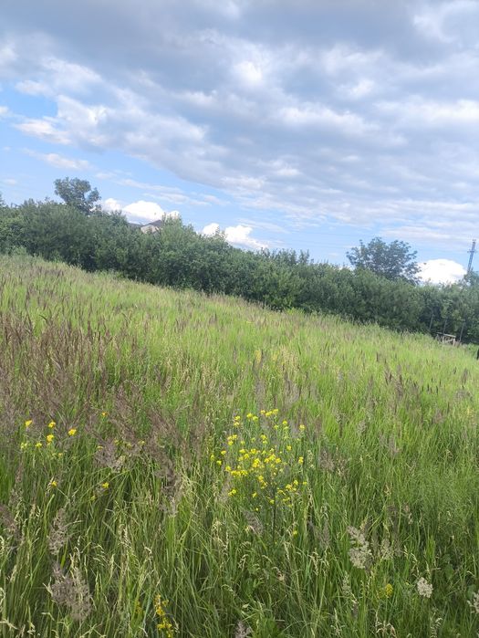 Продам  участок в старом солнечном тихое спокойное красивая местность