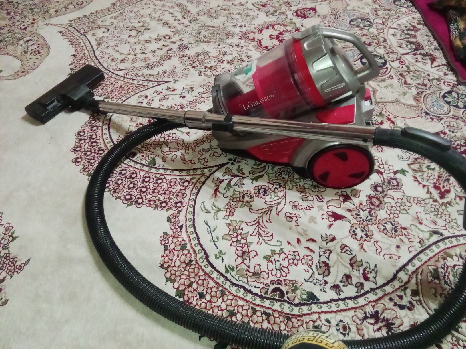 LGerisson 3000W  pilisosi