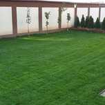 Servicii gradinarit