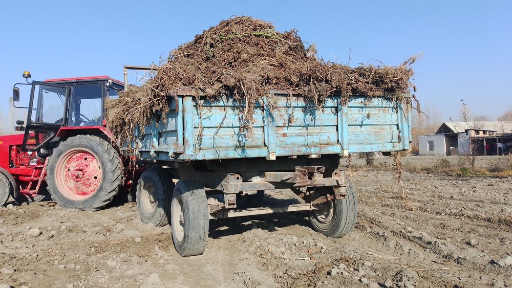 Hammasi narsasi joyida.