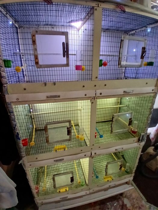 Клетка Валер  Капас кушла темрдон аценковкадан ясалгантемир ва аценков