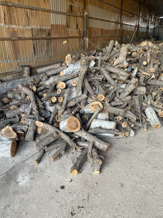 Яблоневые пеньки