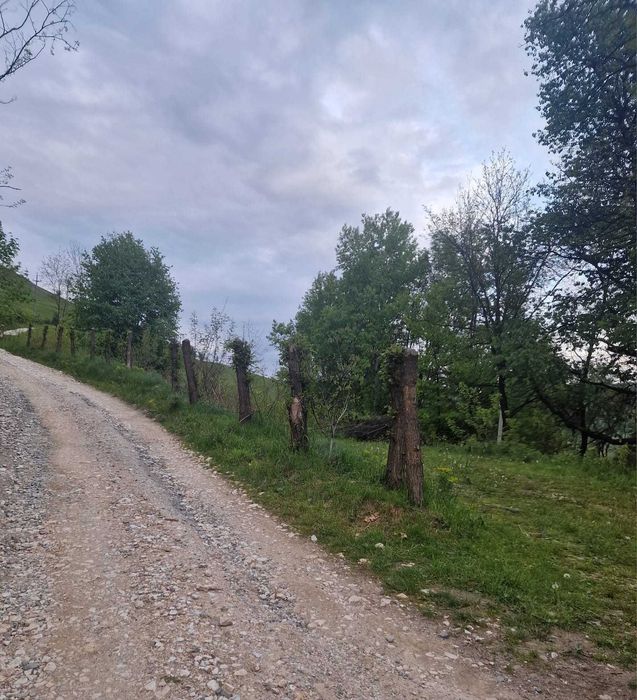 Vând teren intravilan in orașul  Câmpeni, județul ALBA