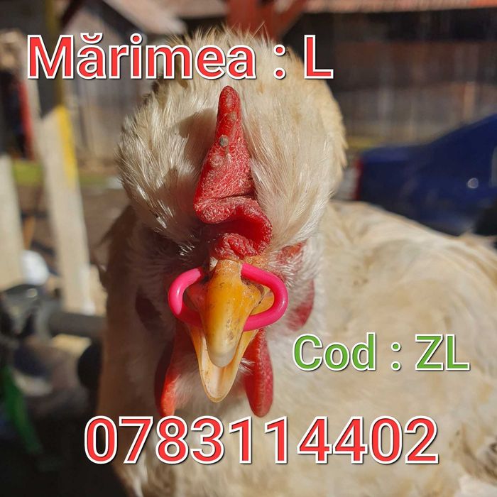 Gaini Fazani Pauni Cocosi-Anti Ciupit-Fara Ac-Inel Nazal-OCHELARI - ZL