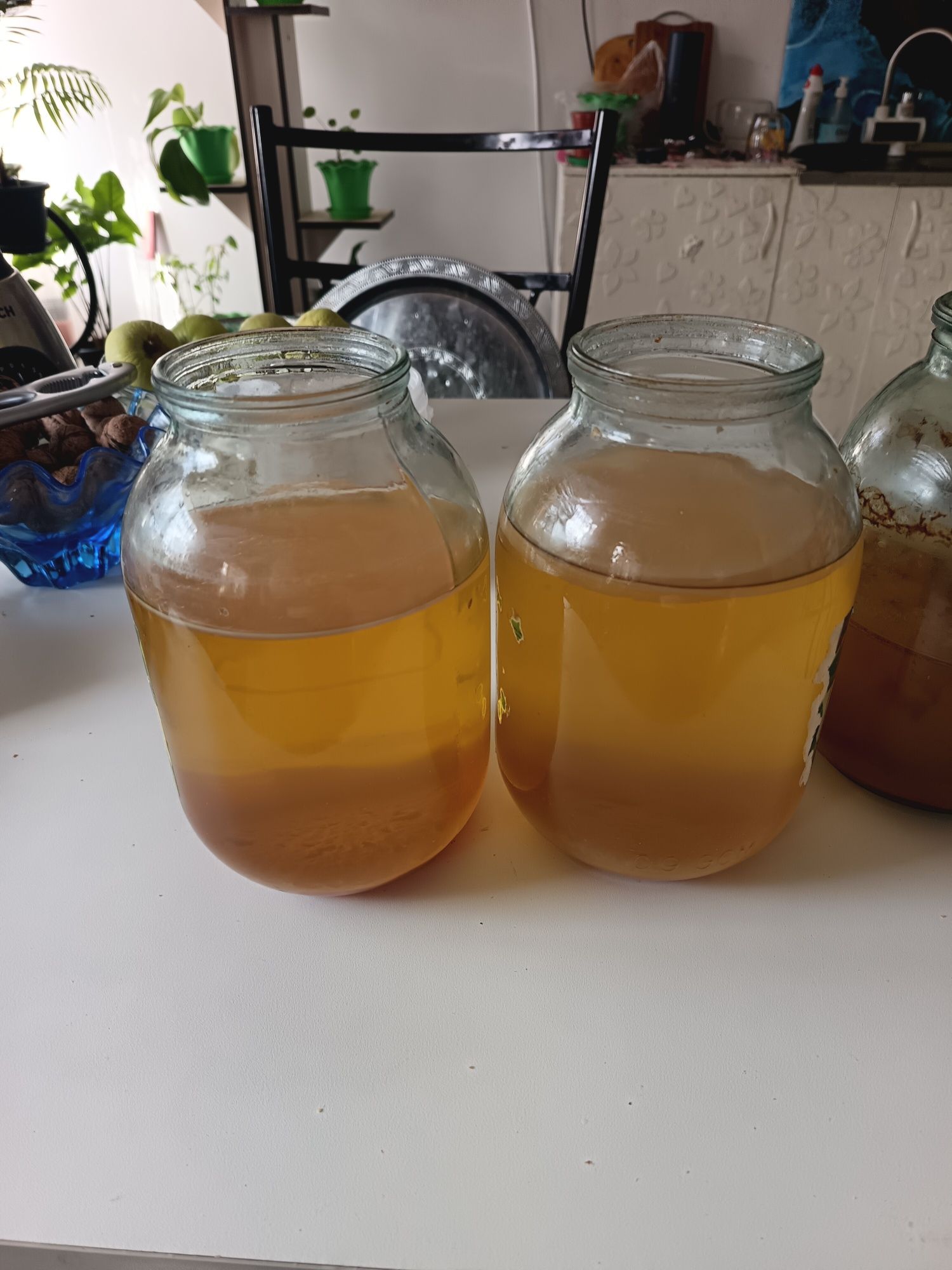 Продаю домашний Яблочный уксус