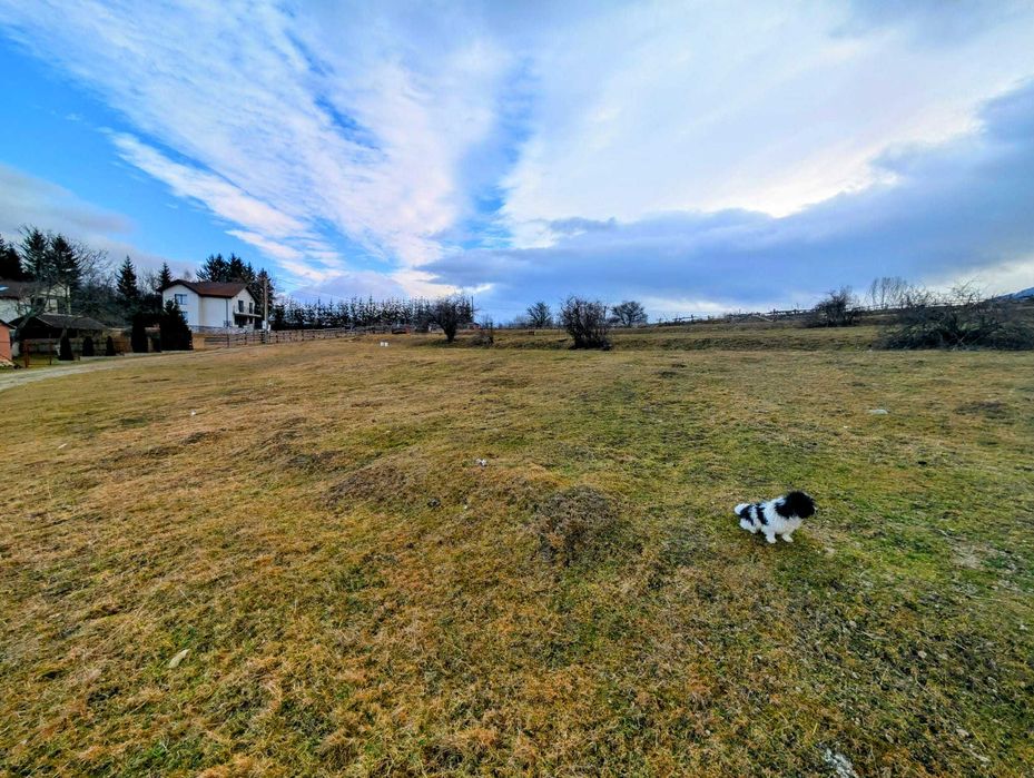 Teren intravilan 5 km de Castelul Bran, in Zarnesti, zona rezidentiala