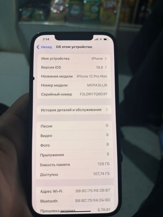 iphone 12 pro max