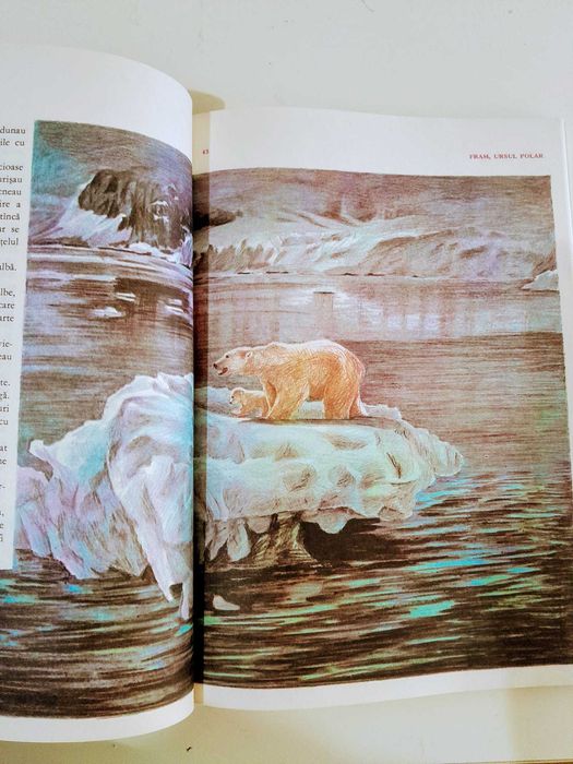 Cezar Petrescu - Fram , ursul polar