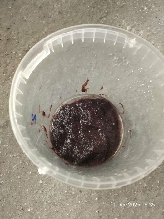 Жива храна за рибки