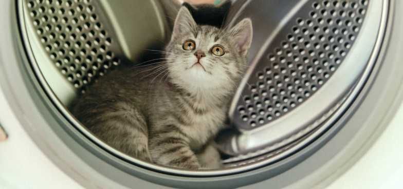 Тазалау. Чистка. Cleaning.