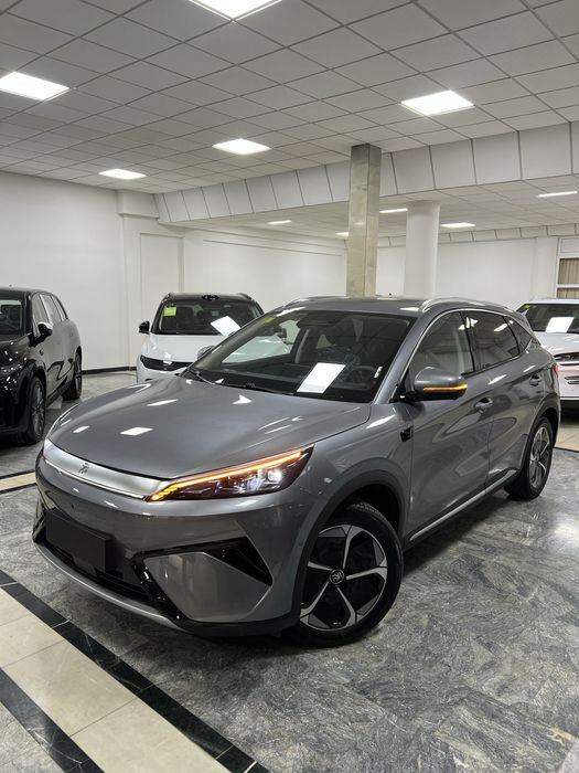 BYD Yuan Plus 2026 Rest