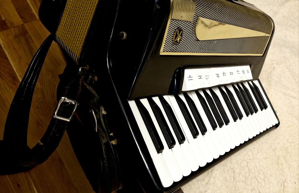 Vând acordeor Hohner Lucia IV P cu 96 basi