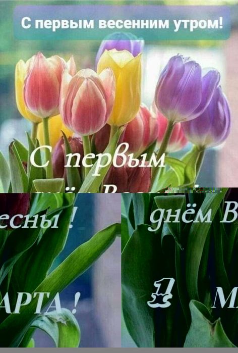 Побелка,мелкий ремонт