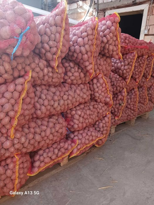 Sământa de cartofi pentru animale