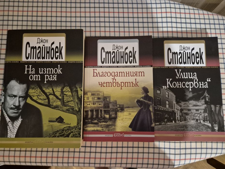 Съвременни и исторически романи