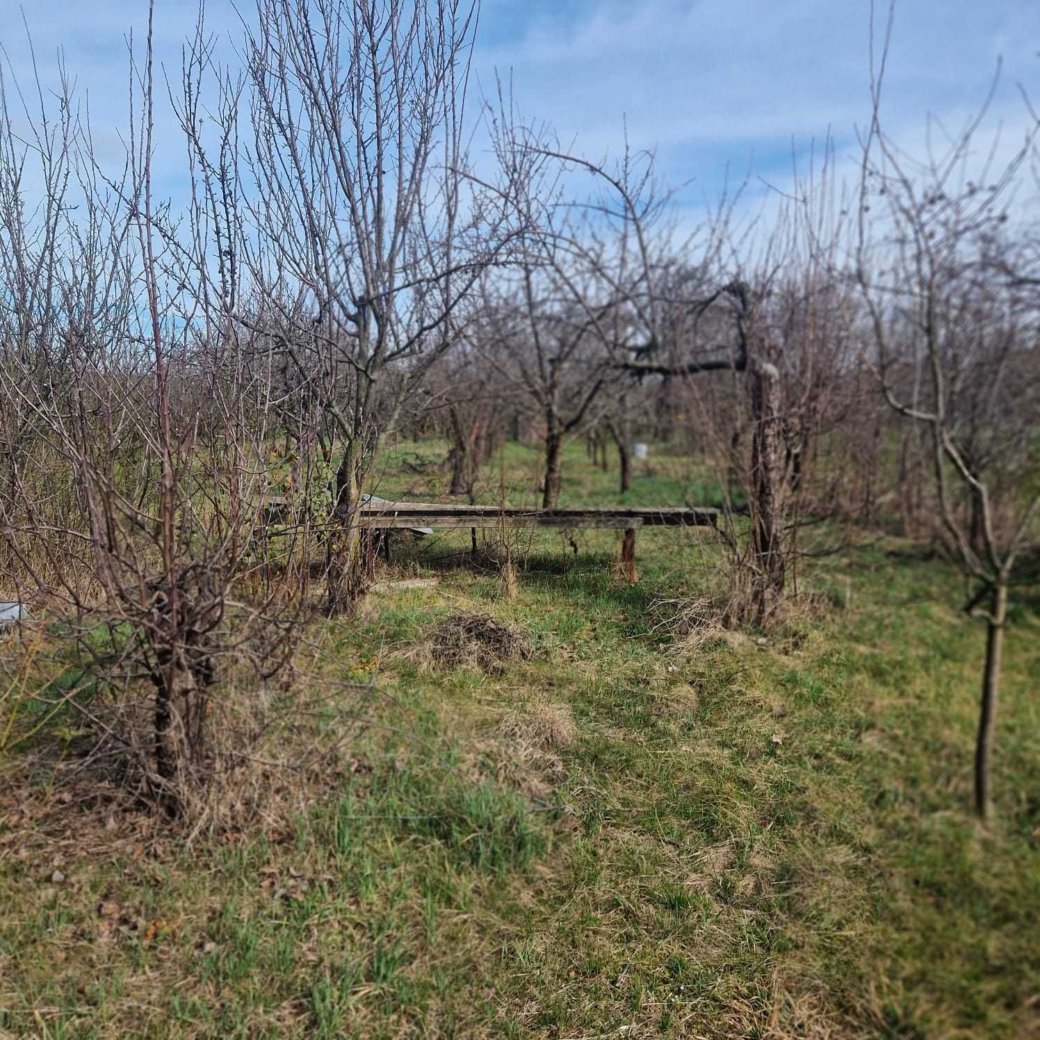 Teren  intravilan 1500 Mp, Tautelec,Bihor