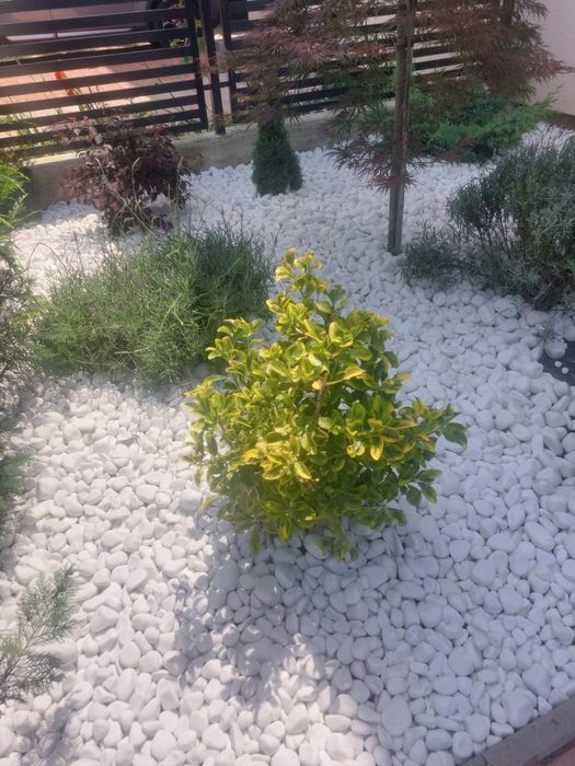 Piatra decorativa marmura alba la sac de 50kg la 50 lei