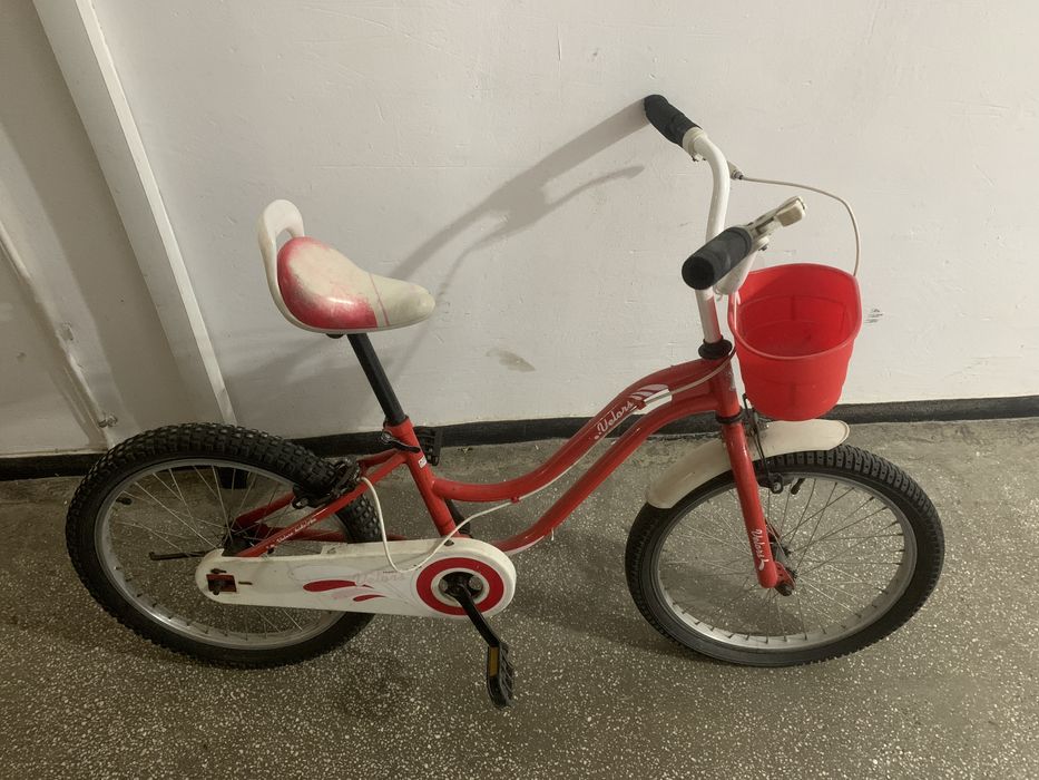 Bicicleta pentru copiii