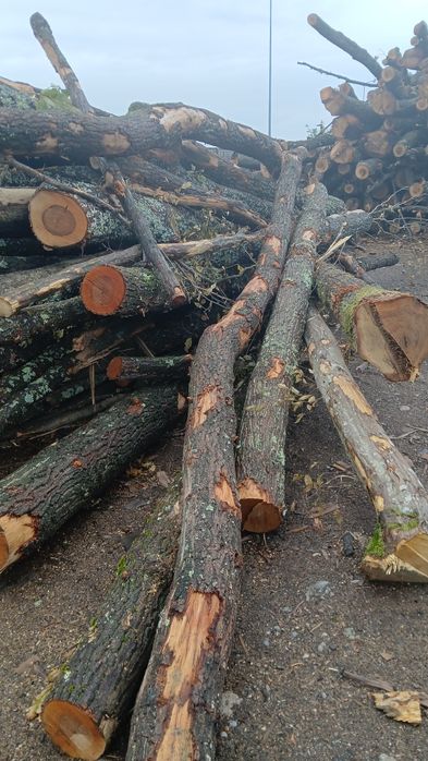 Lemne de vanzare 350 metru ster pentru mai multe detalii sunama