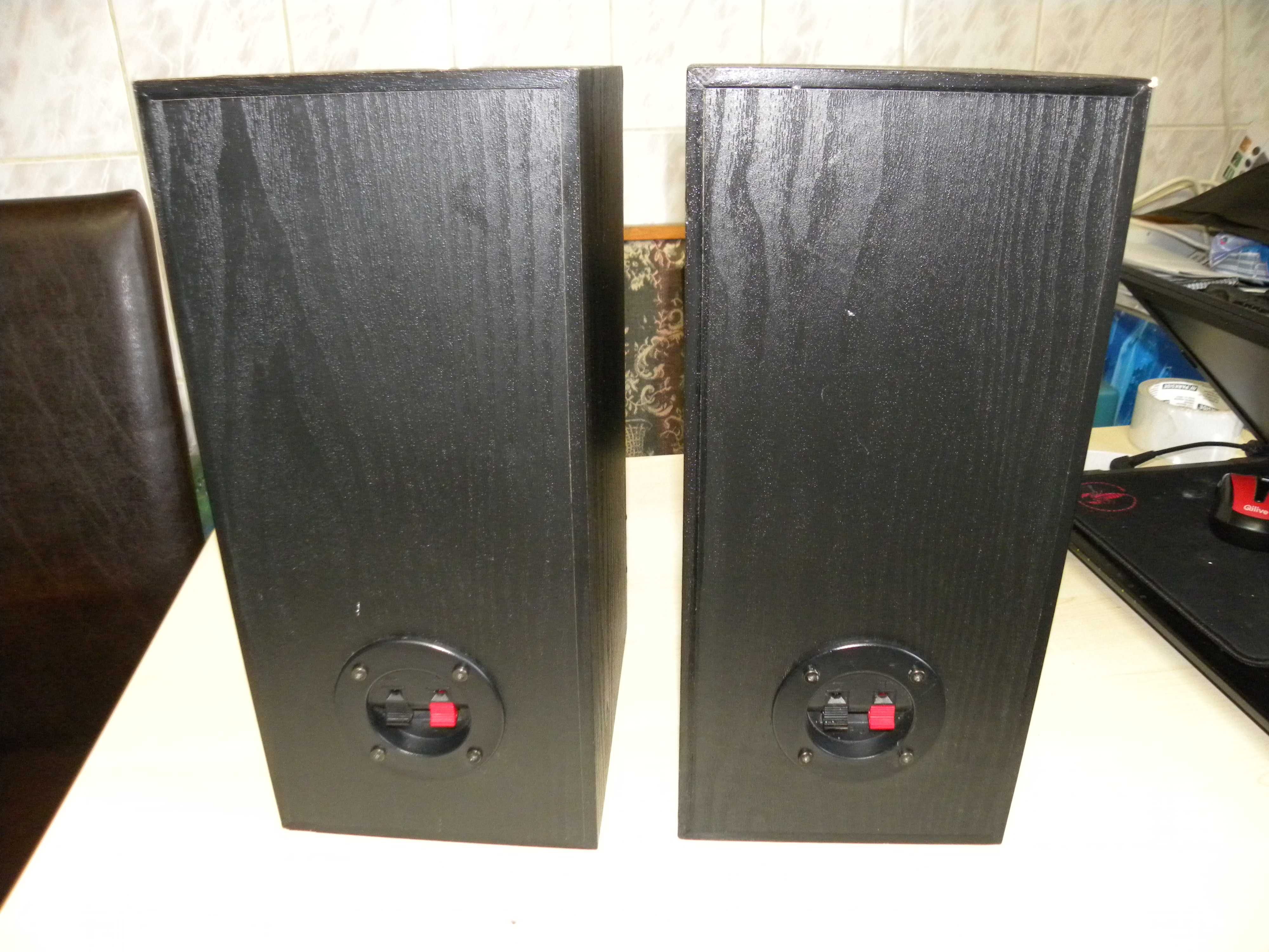 Audiofile Coral (AUDIOSCAN) - 50W / 8 Ohms