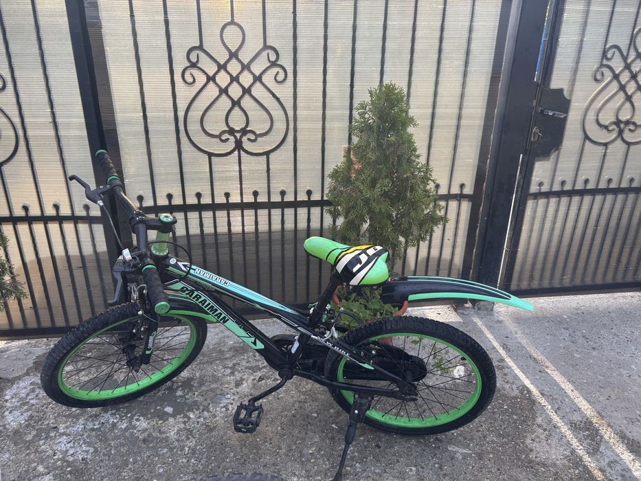 Bicicleta verde